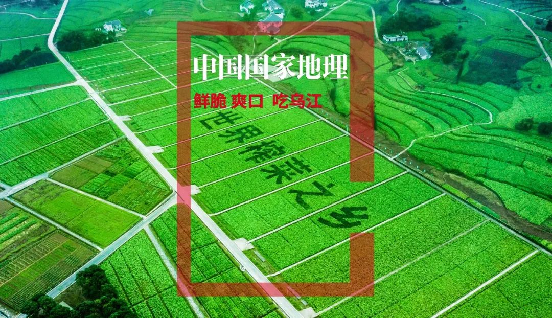 微信图片_20220608145944.jpg