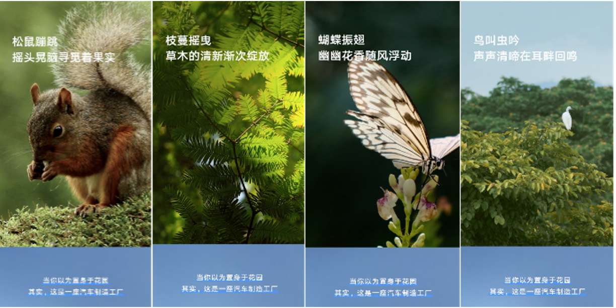 微信图片_2025-06-09_141055_442.png